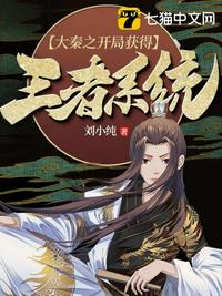 龙骑战机