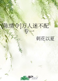 无限穿越之后宫未删节