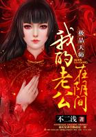 小家碧玉小说 林朝英