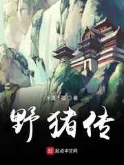 2024东京热全集在线观看