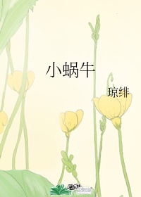 风筝电视连续剧