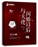 ibw 518z图解