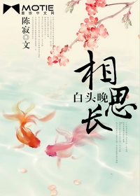 晚上a免费毛片视频