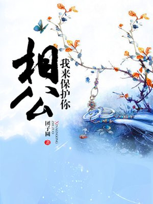九龙宠凤