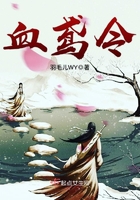 seyeye网站在线播放免费