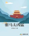 偷月情在线观看免费
