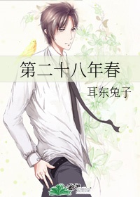 类似爱情未删减版bd