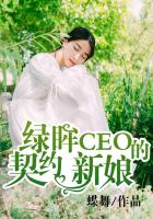 全职高手真人版电视剧免费