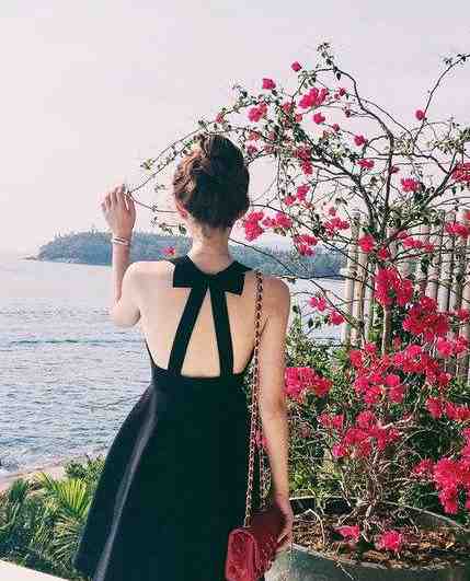 美女视频免费网站
