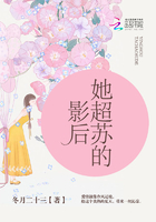 wps序列号