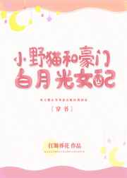yinluan小镇公交车尺寸
