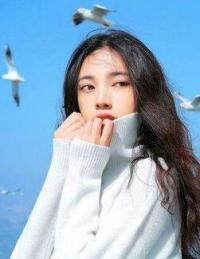 《大燕闲人》免费阅读