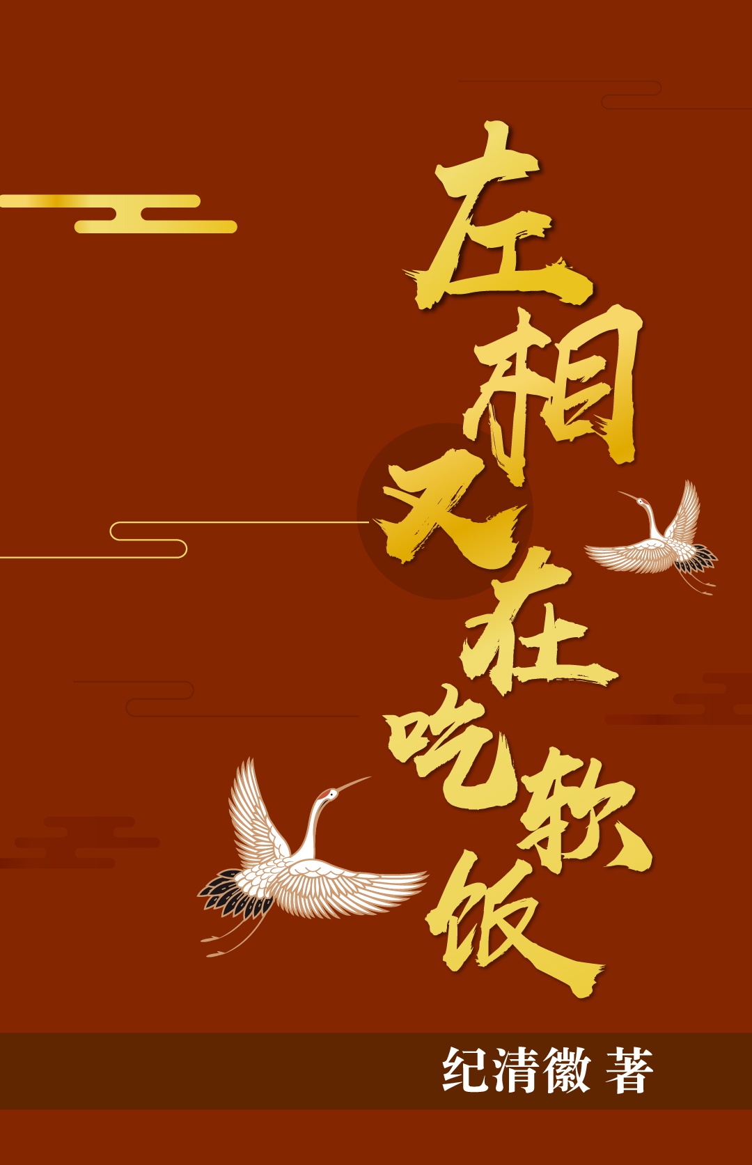 公交np