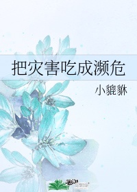 你和我的倾城时光小说下载