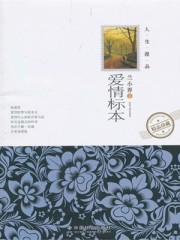 瞬息全宇宙在线播放