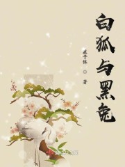 木木枭