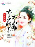 无限动漫录txt下载