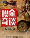 那片星空那片海小说