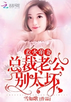 美女被叉叉