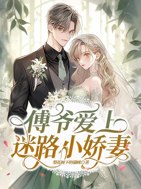 最佳女婿何家荣大结局