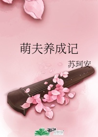 滴滴谷雨系统下载