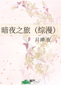 全职高手电视剧免费播放