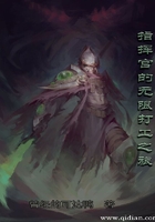 无爱言婚叶落无心小说