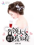 病娇囚禁宠溺阴狠攻