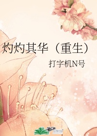 2090网