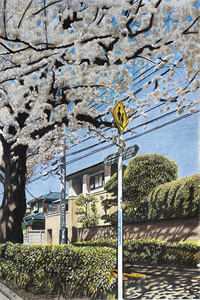 ssni802三上悠亚未删减
