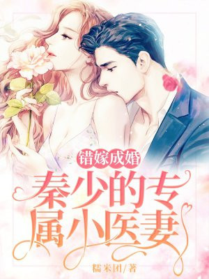 谍战小说十大巅峰之作