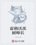 限级小说