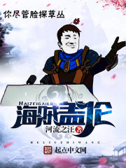 v流量