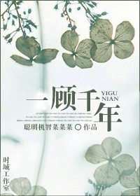 口袋妖怪银魂