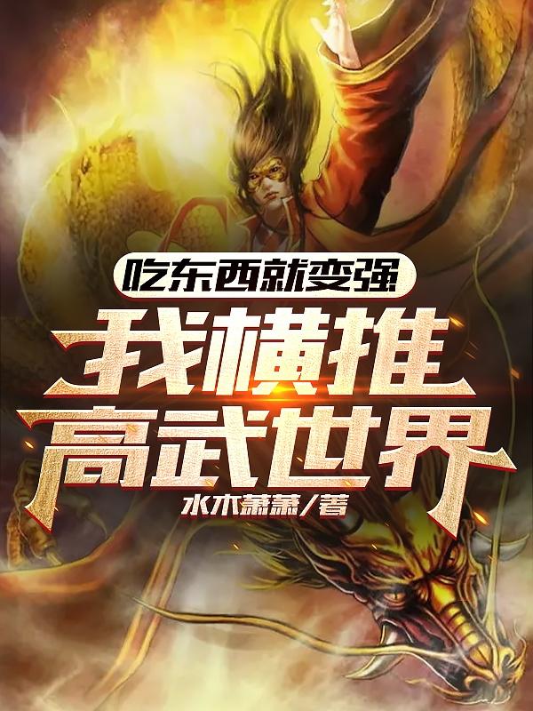 我和继女的秘密小说