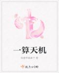 国内自拍视频在线看免费观看