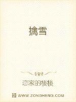 对魔忍阿莎姬