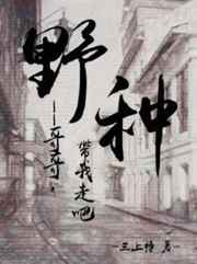 女主叫陆晚晚的小说