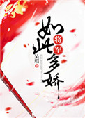 陪你到世界之巅电视剧免费观看