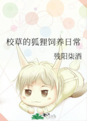 旋风11人
