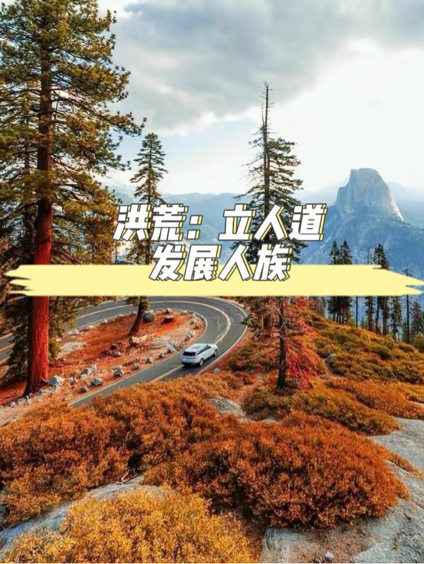 杀破狼1国语高清免费