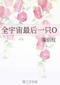 杨家将外传穆桂英被俘