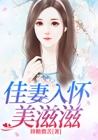 天泪传奇之凤凰无双电视剧免费观看全集
