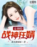 兽幼王佳佳小说