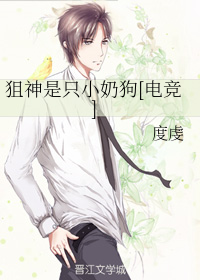 高洁小说