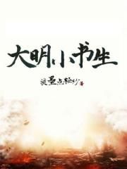 手机播放在线观看日本