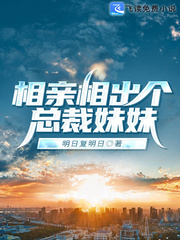 红房子游戏