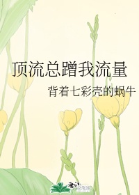苏北有佳人