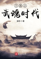 重生军嫂