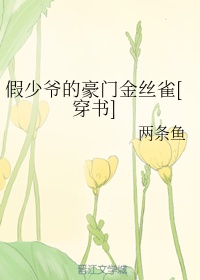 怦怦